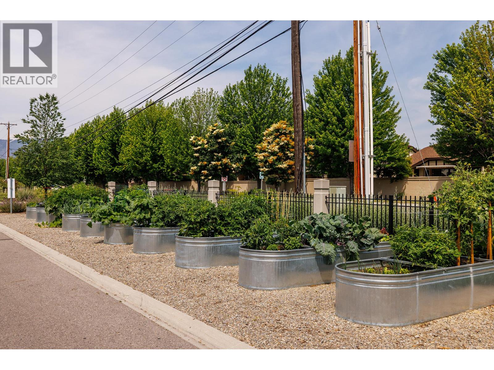 3 1102 Cameron Avenue, Kelowna