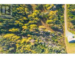 Lower Shore Road, Little Judique, NS B0E1P0 Photo 12