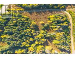 Lower Shore Road, Little Judique, NS B0E1P0 Photo 14