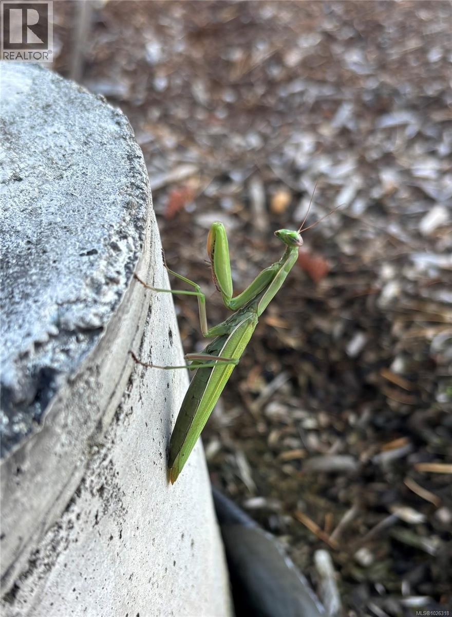 5767 BROADWAY RD - 54