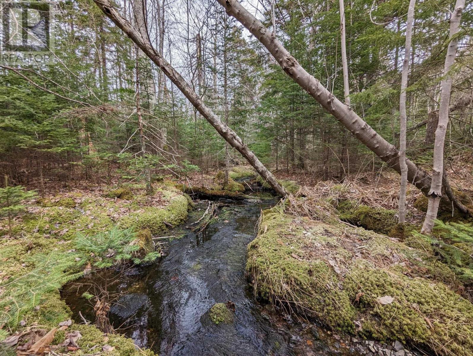 Property 10 of 24 of 148 Mink Lake Drive