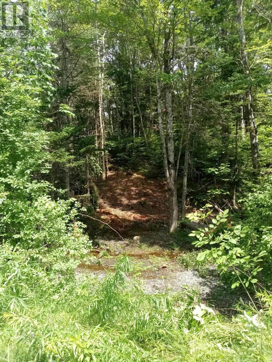 Property 2 of 5 of McMullin Road