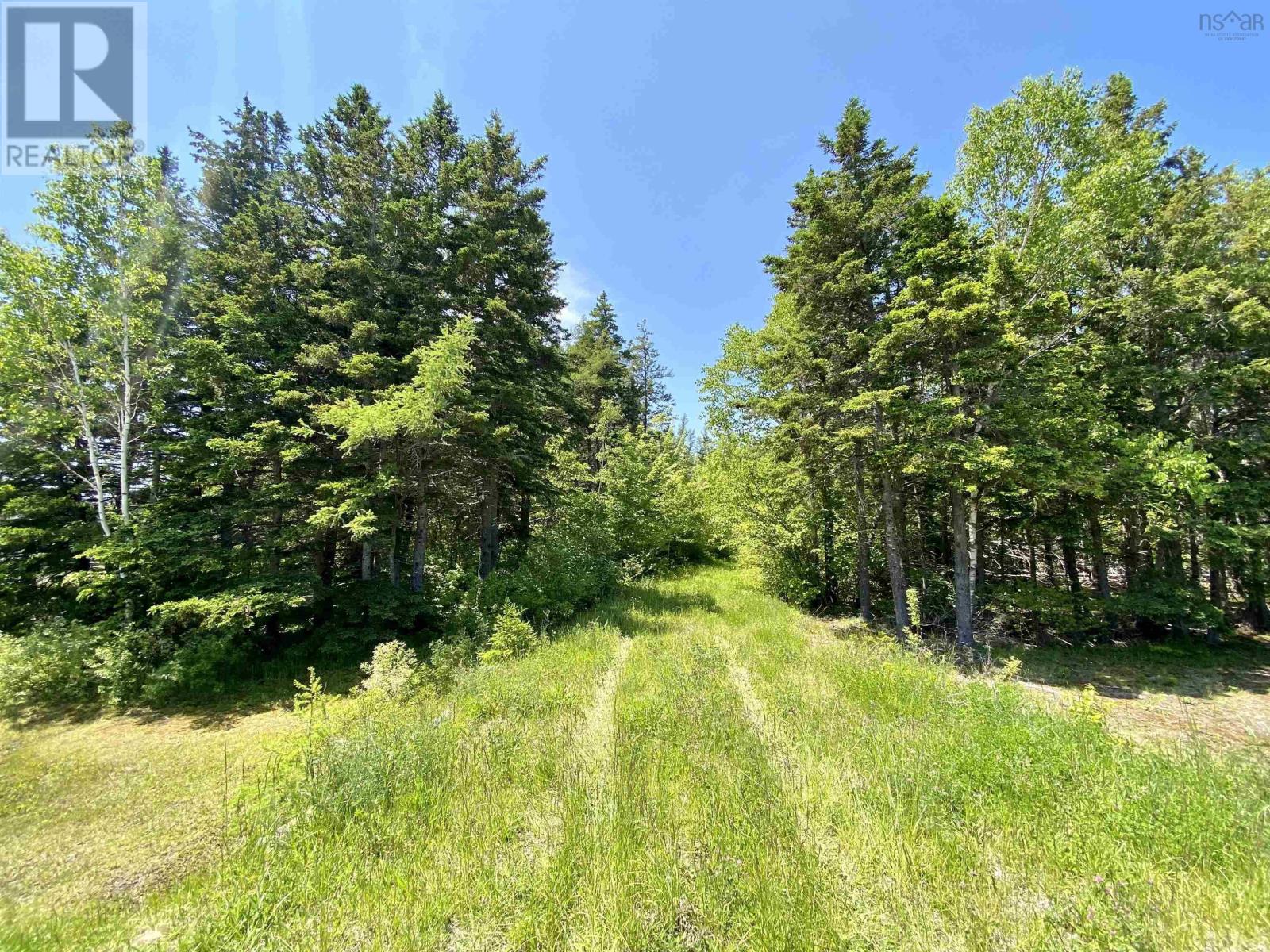 Property 13 of 19 of Acerage Highway 19