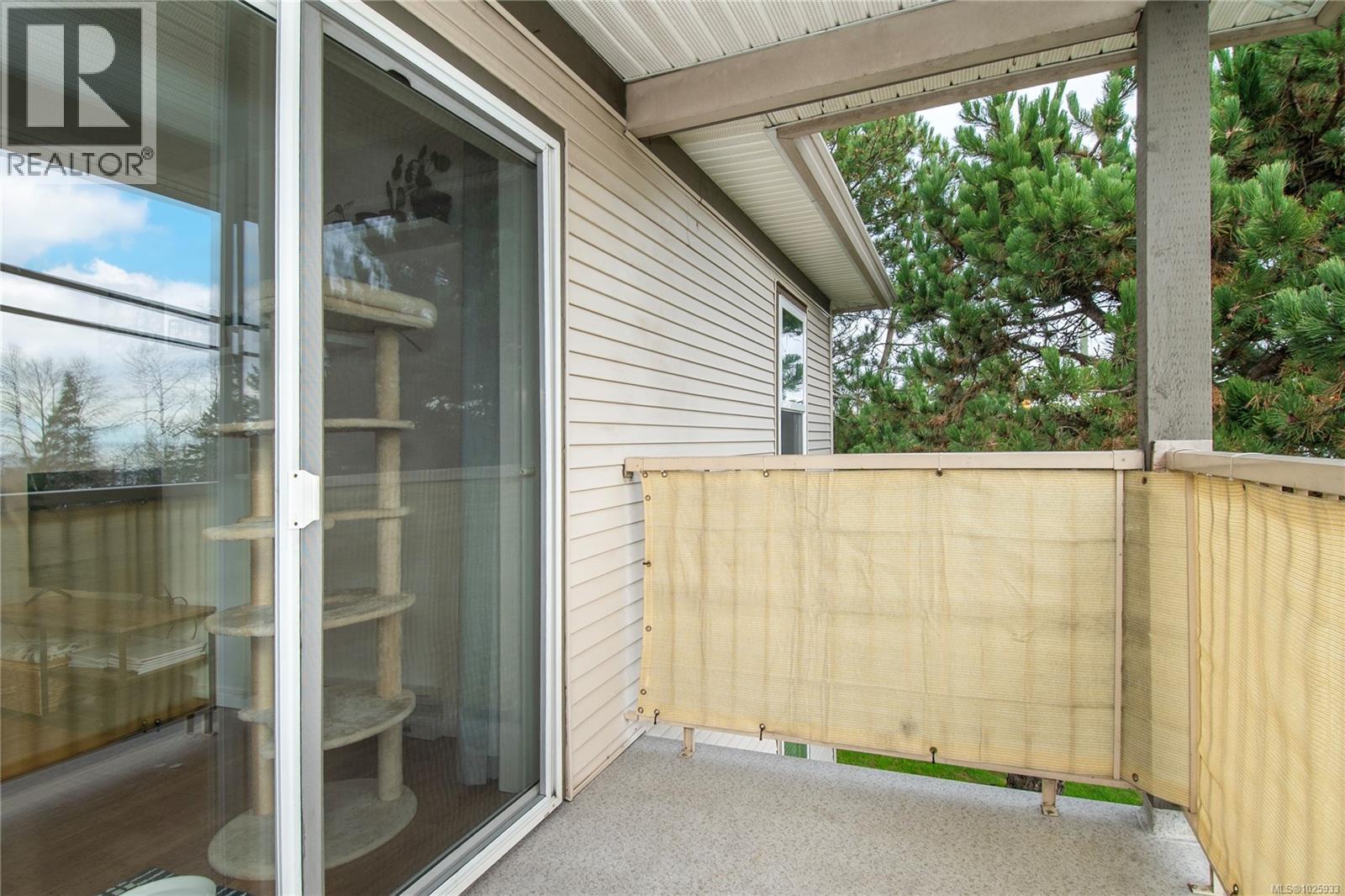 202 2525 Fitzgerald Ave, Courtenay