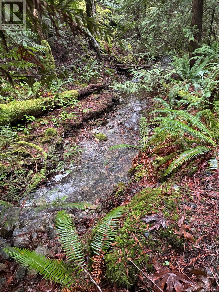 405 Hazlitt Creek Rd, Highlands