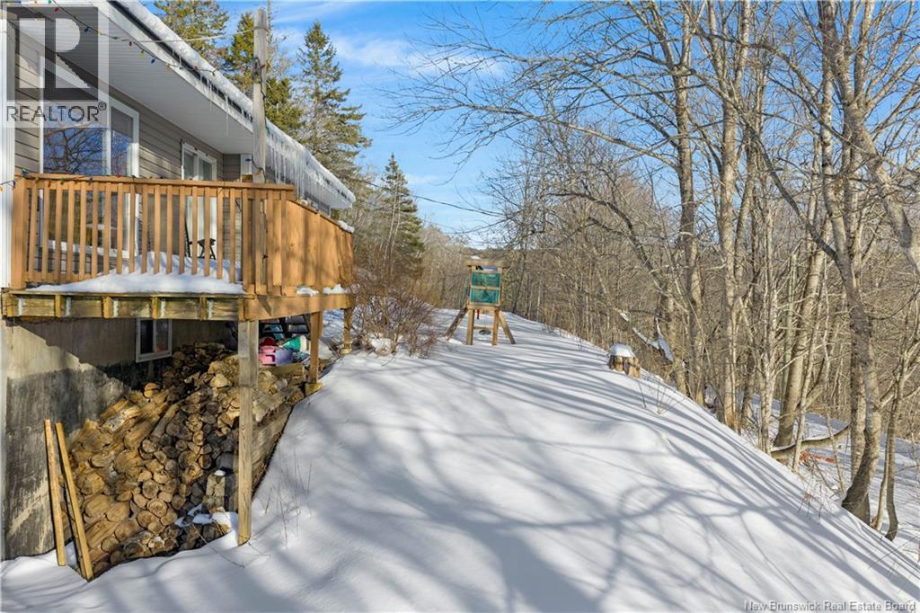 471 Cedar Camp Road - 21