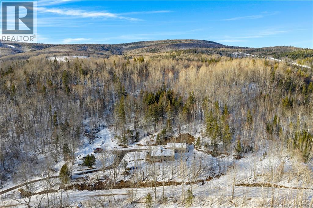 471 Cedar Camp Road - 24