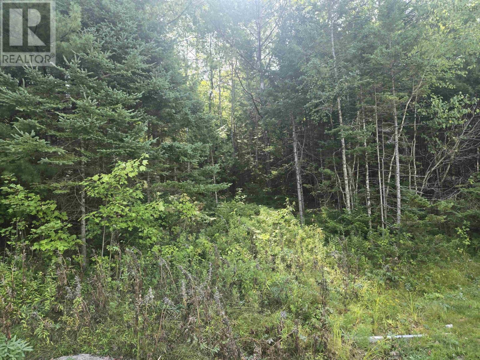 Property 8 of 12 of LOT Northfield Road