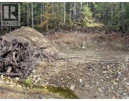 511 Burman Crt, Gold River, BC V0P1G0 Photo 20