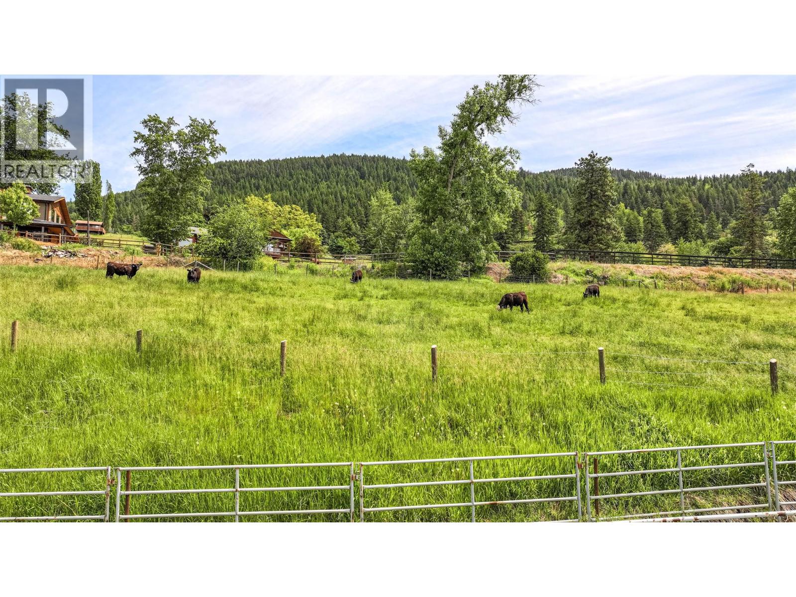 5541 Dixon Dam Road - 15