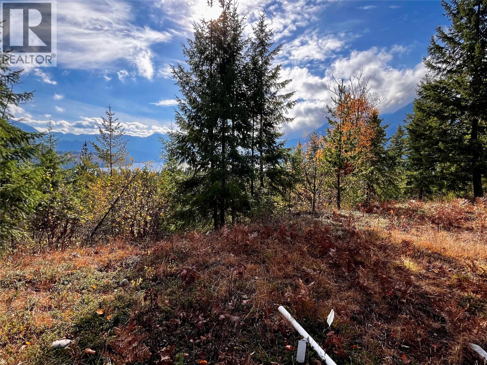 235 FULLMOON ROAD - 10