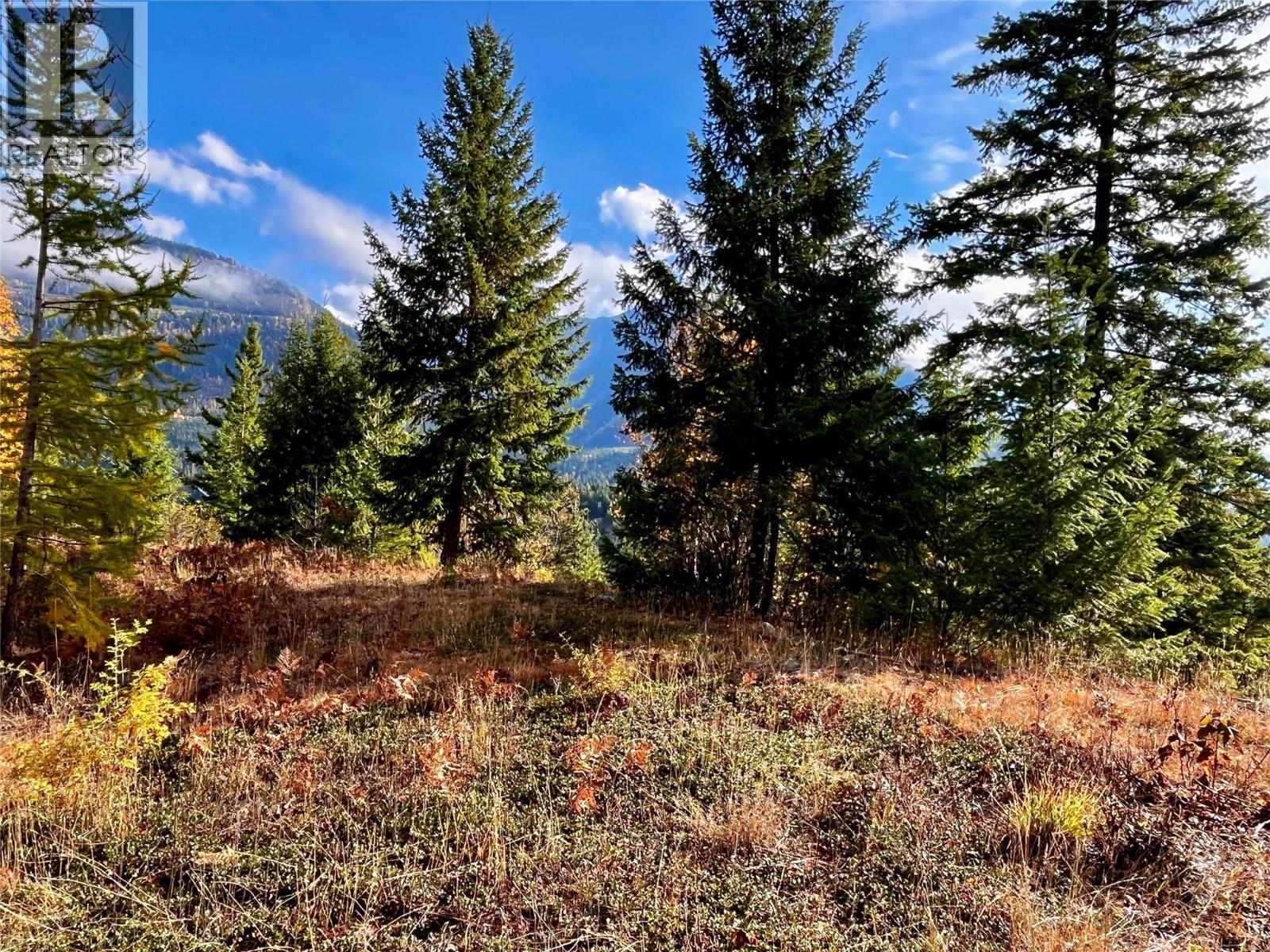 235 FULLMOON ROAD - 8