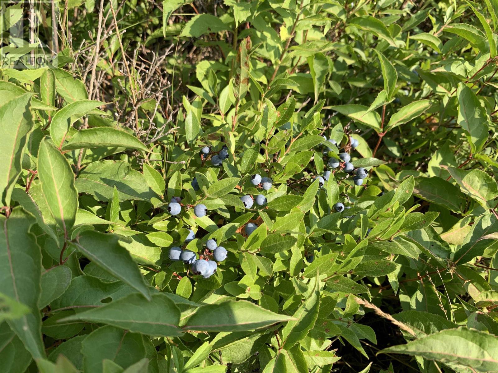 Property 6 of 17 of Lot 4B Hunter Road