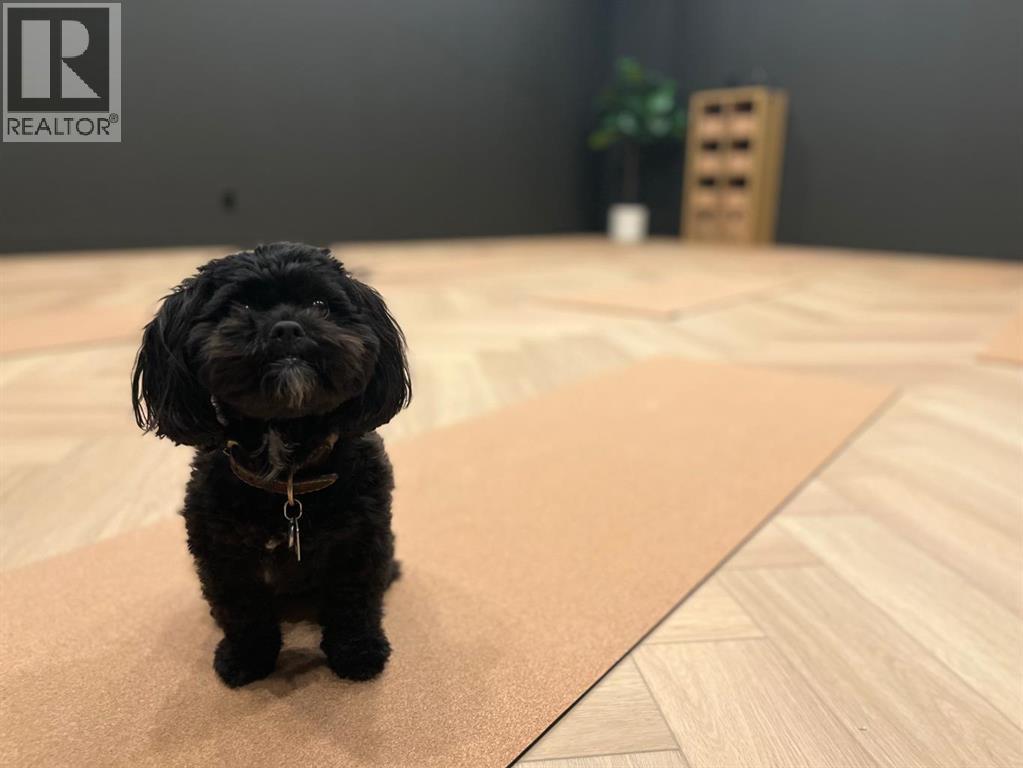 Business for Sale in   Oakmoor Plaza SW Oakridge Calgary 