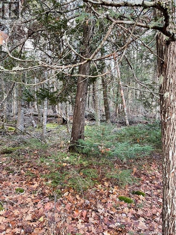 519 Route 725, Little Ridge — photo 2