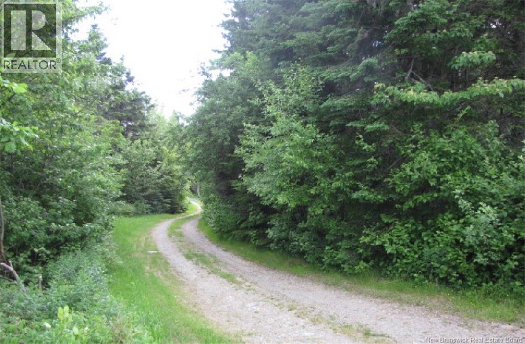 327 Maple Grove Road - 4