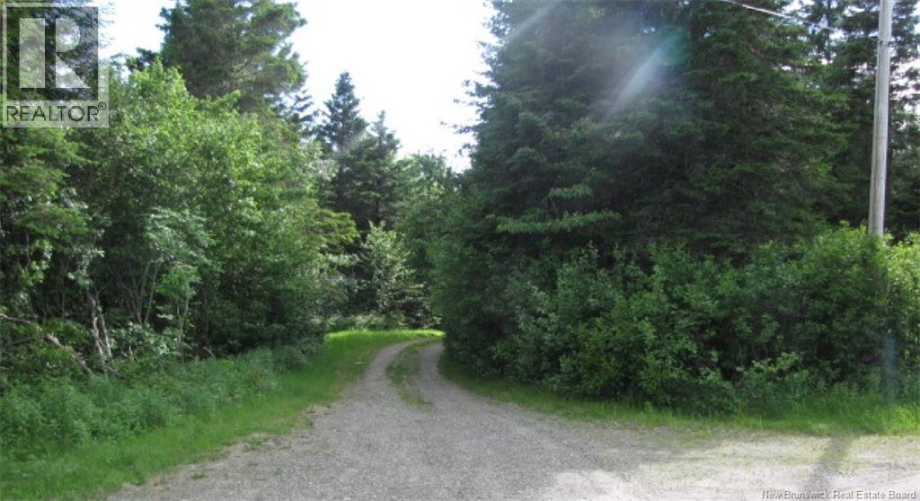 327 Maple Grove Road - 5