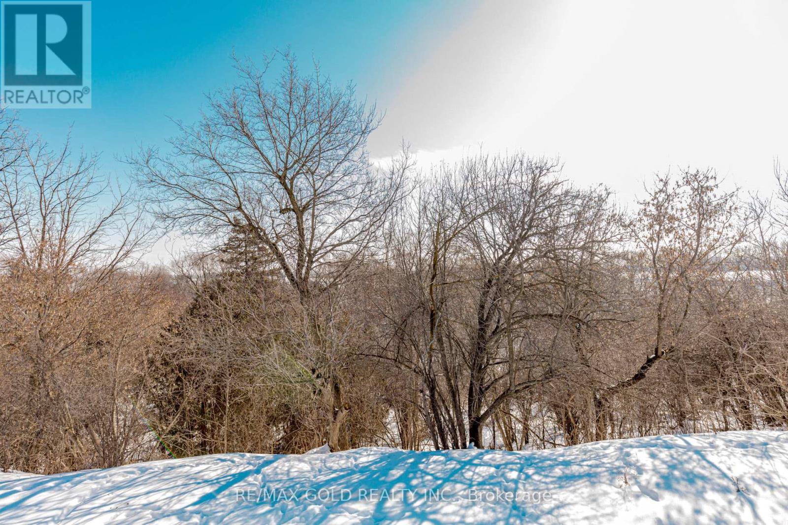 12182 TORBRAM ROAD - 26