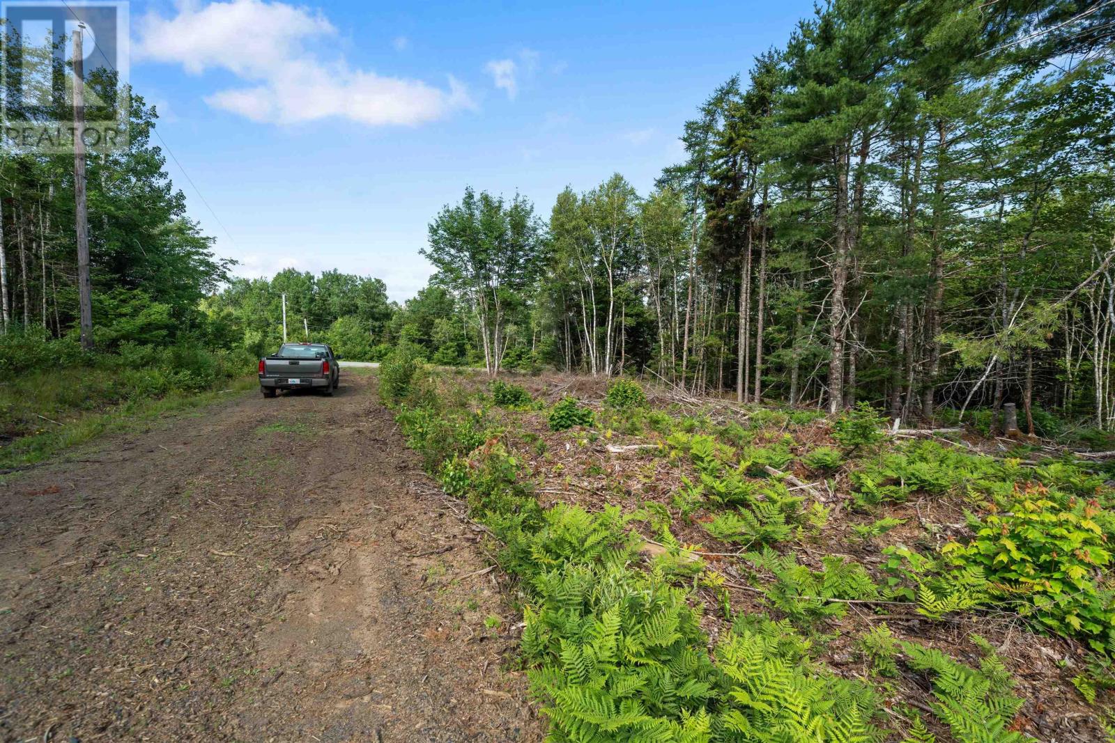 Property 47 of 49 of 8860 Moose River Road