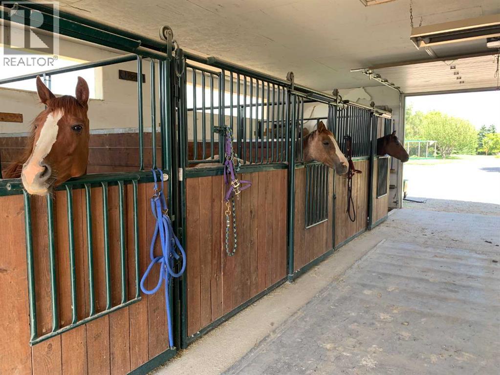 15, 31240 Range Road 20 A - Photo 5 of 44, Rural Mountain View County, Alberta