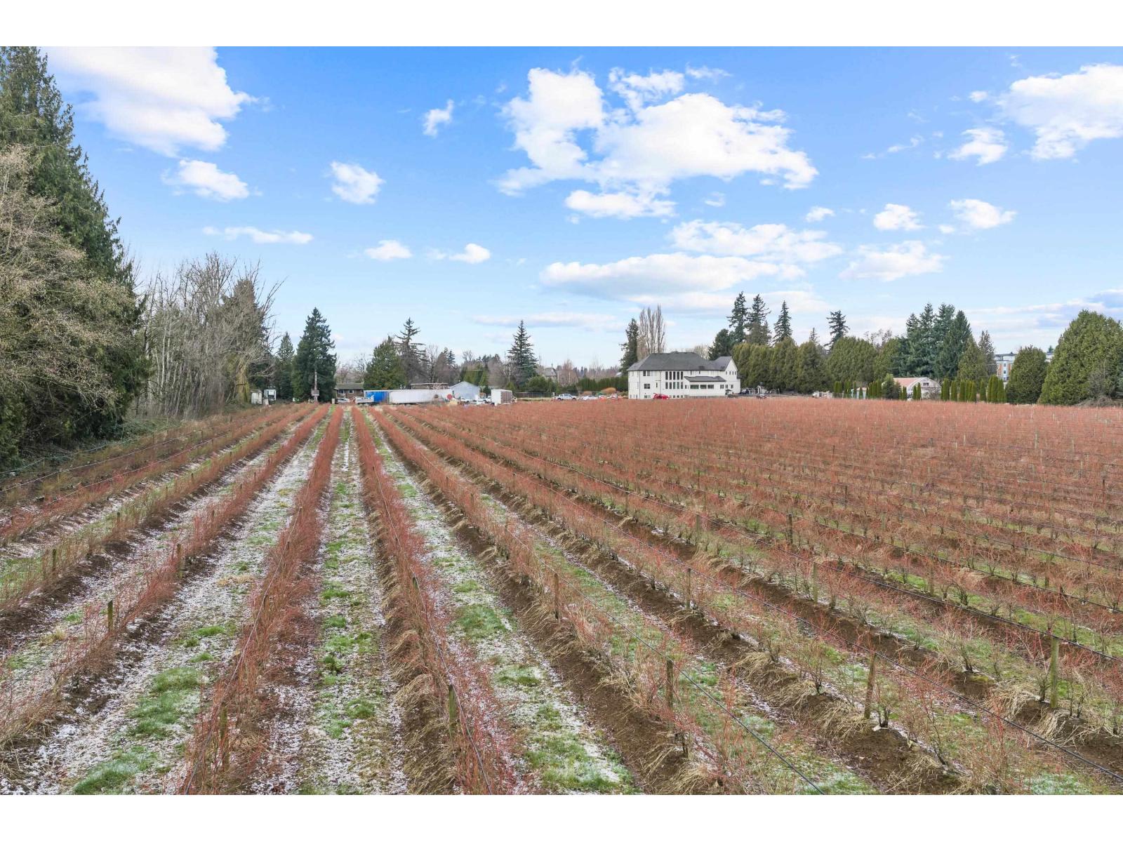 1264 MCCALLUM ROAD, Abbotsford