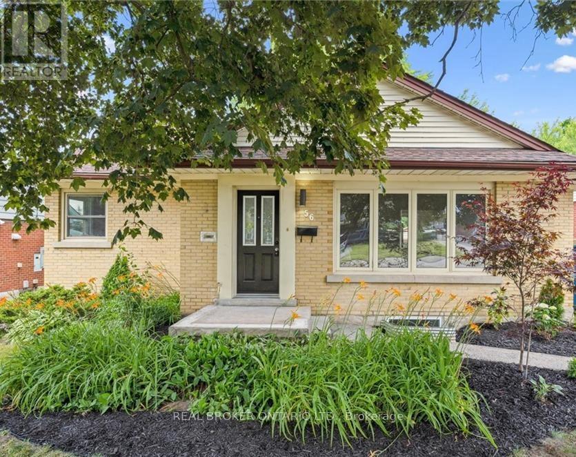 LOWER - 56 DOVER STREET