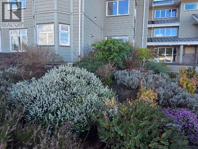 104-4685 JOYCE AVE, Powell River