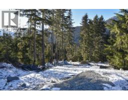9325 Warbler Way, Whistler, BC V8E1M1 Photo 6