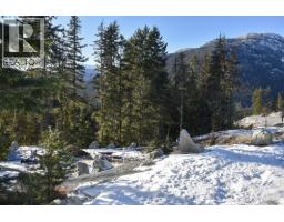 9325 Warbler Way, Whistler, BC V8E1M1 Photo 7