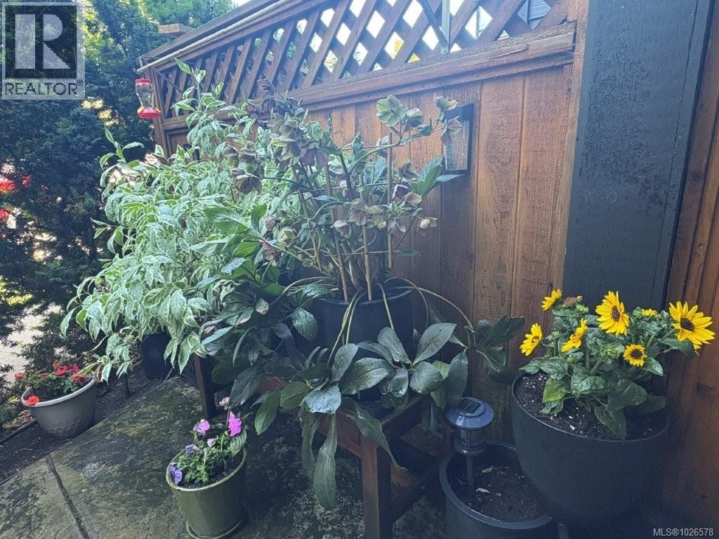 106 679 Wagar Ave, Langford