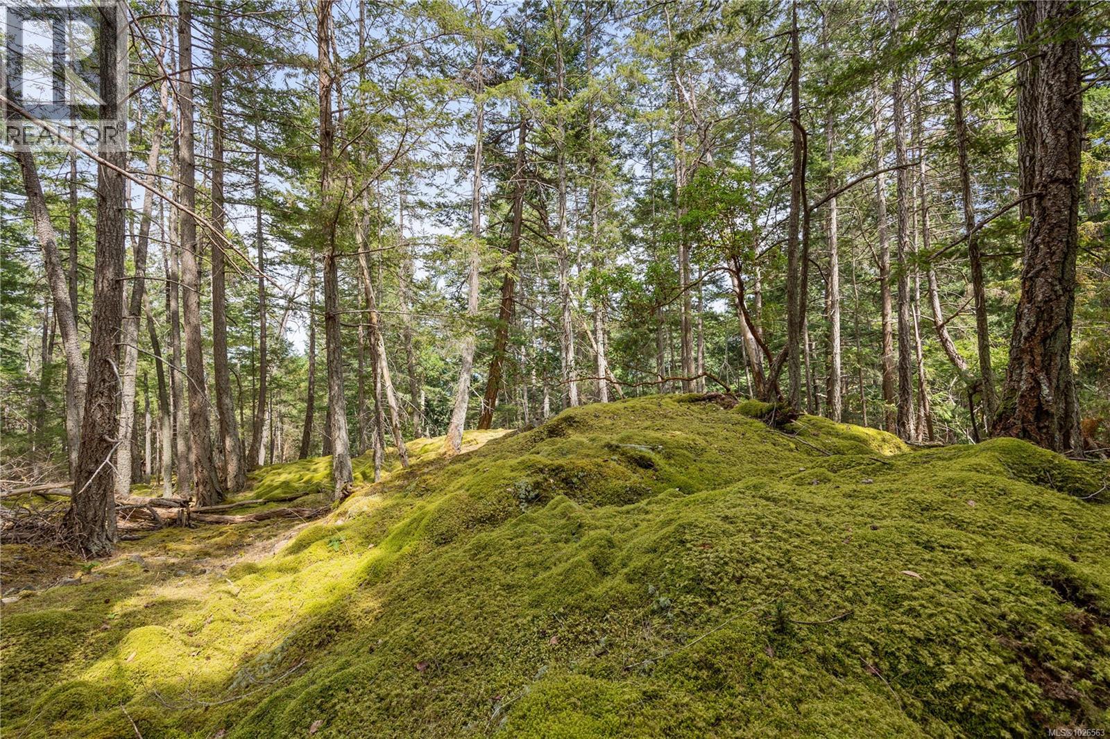 10 Windham Rd, Lasqueti Island