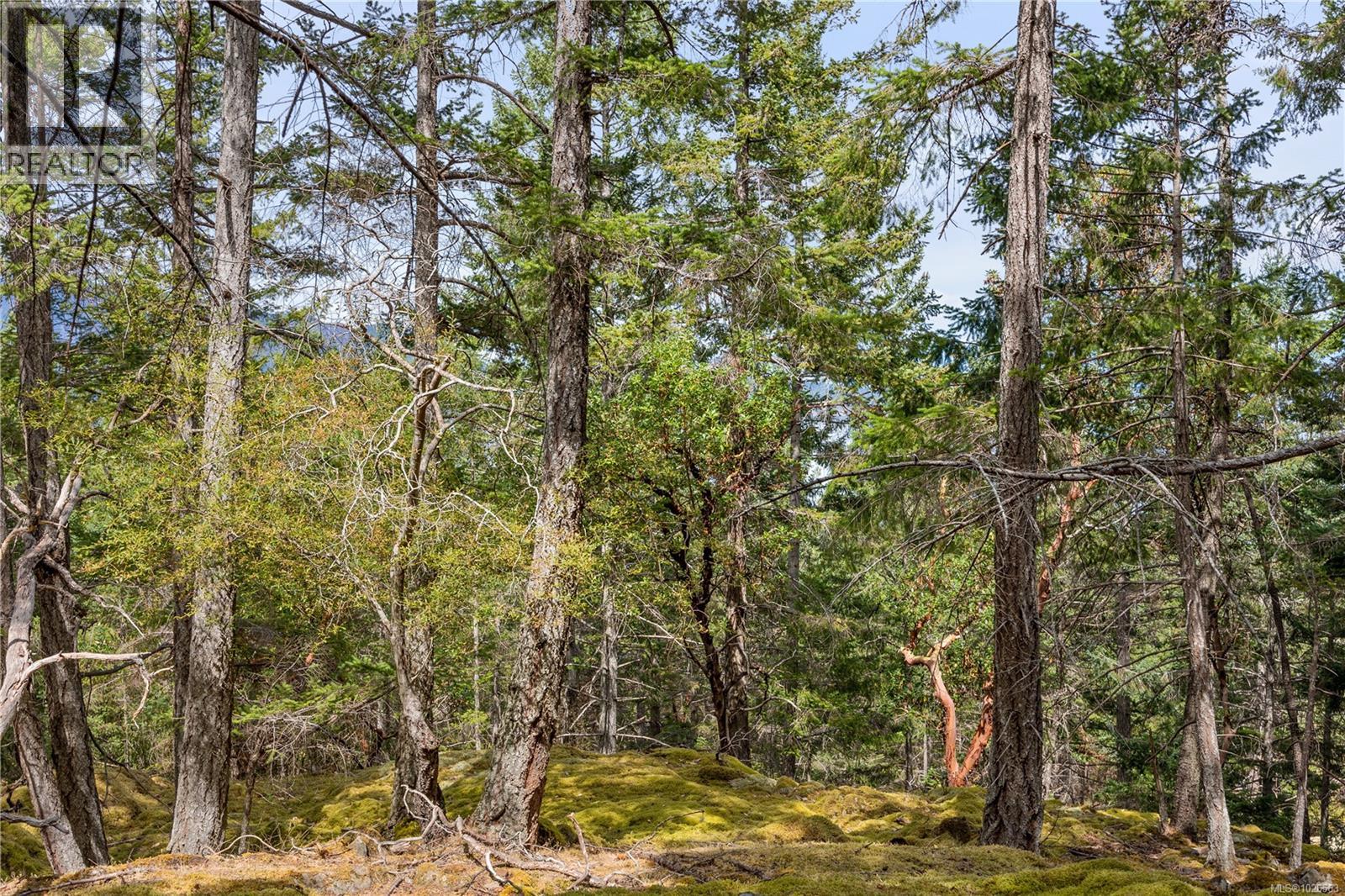 10 Windham Rd, Lasqueti Island