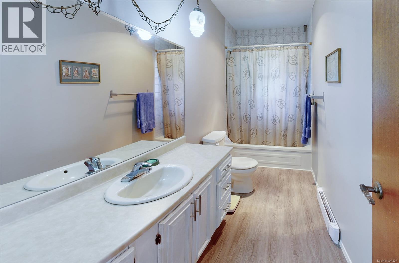 2503 SPRING BEACH DR - 14