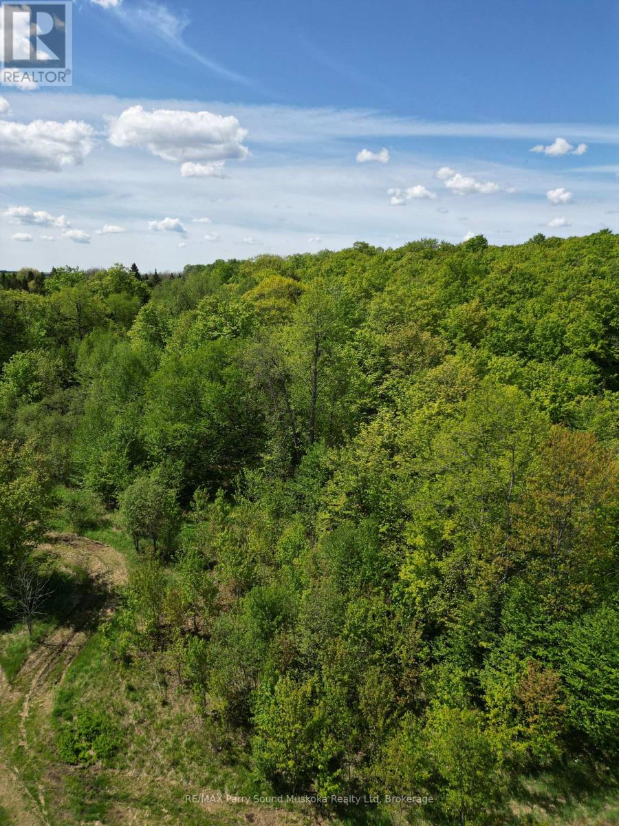 791-B CLEAR LAKE ROAD - Main photo, Parry Sound Remote Area (Arnstein), Ontario