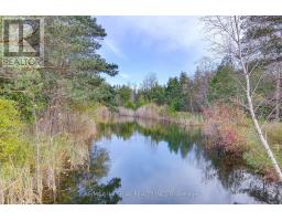13231 Kennedy Road, Whitchurch Stouffville, ON L4X7X5 Photo 50