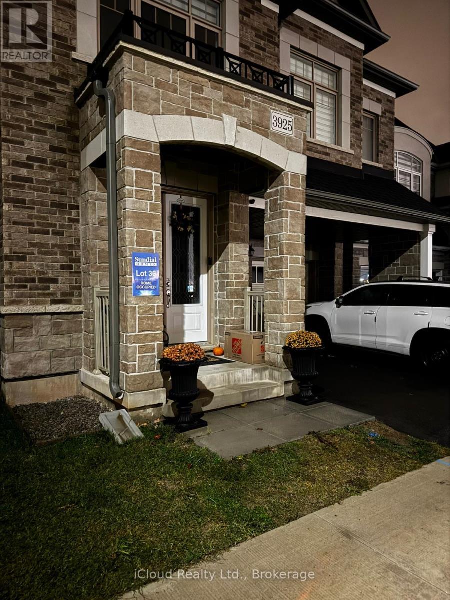 3925 Lodi Road North Lower