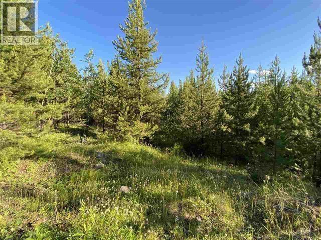 Lot11 EVERGREEN DRIVE, Lone Butte