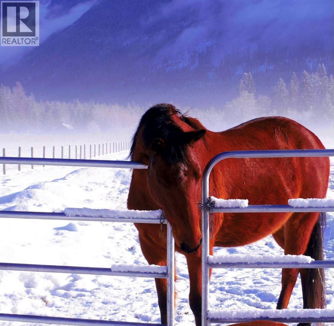 13226 31 HIGHWAY - 60