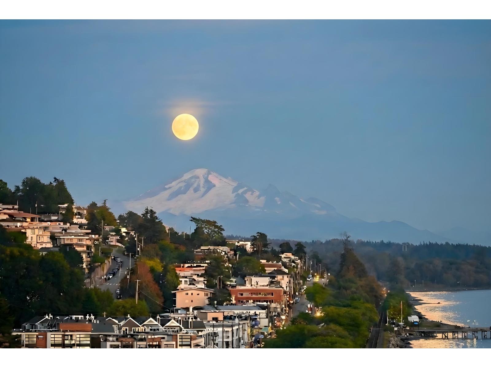 14501 MARINE DRIVE, White Rock