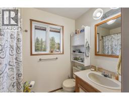 Kitchen - 465 Wilson Mountain Road, Oliver, BC V0H1T5 Photo 14
