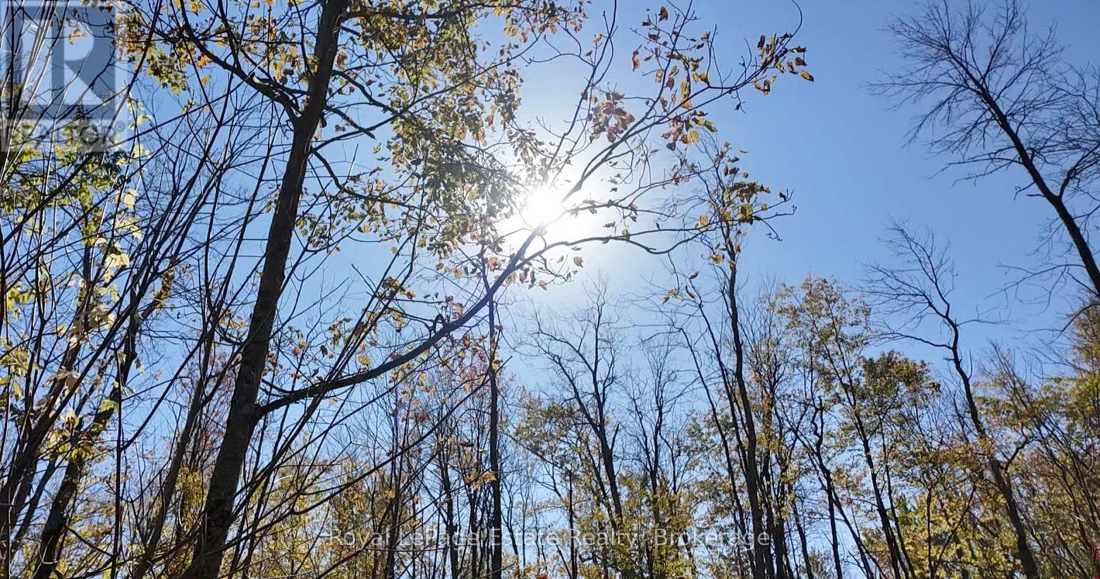 PT LT 36 & PT LT 37 13 CONCESSION - Photo 3 of 10, Arran-Elderslie, Ontario