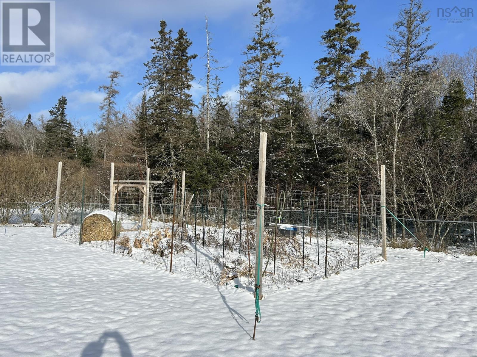 Property 36 of 36 of 77 HARRIS Avenue