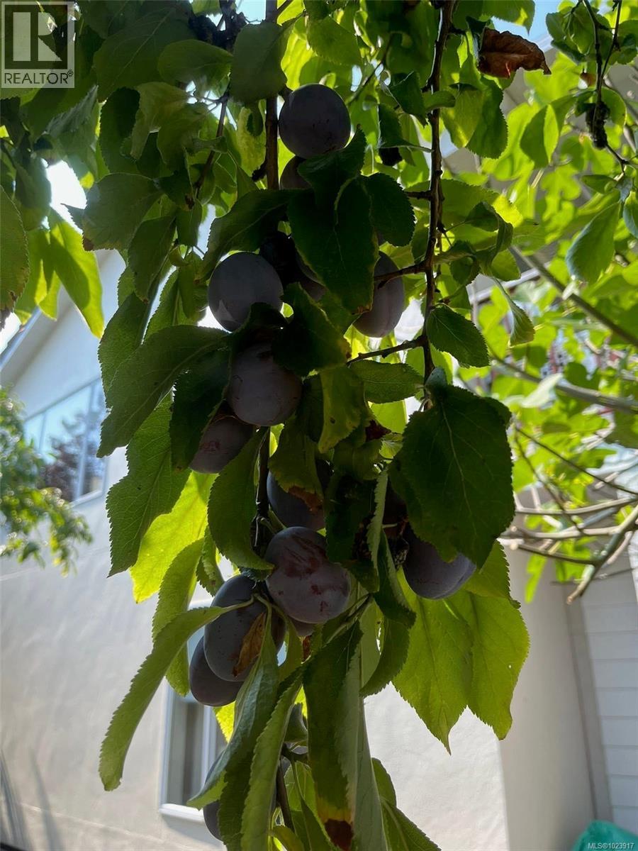 511 Panorama Pl, Parksville