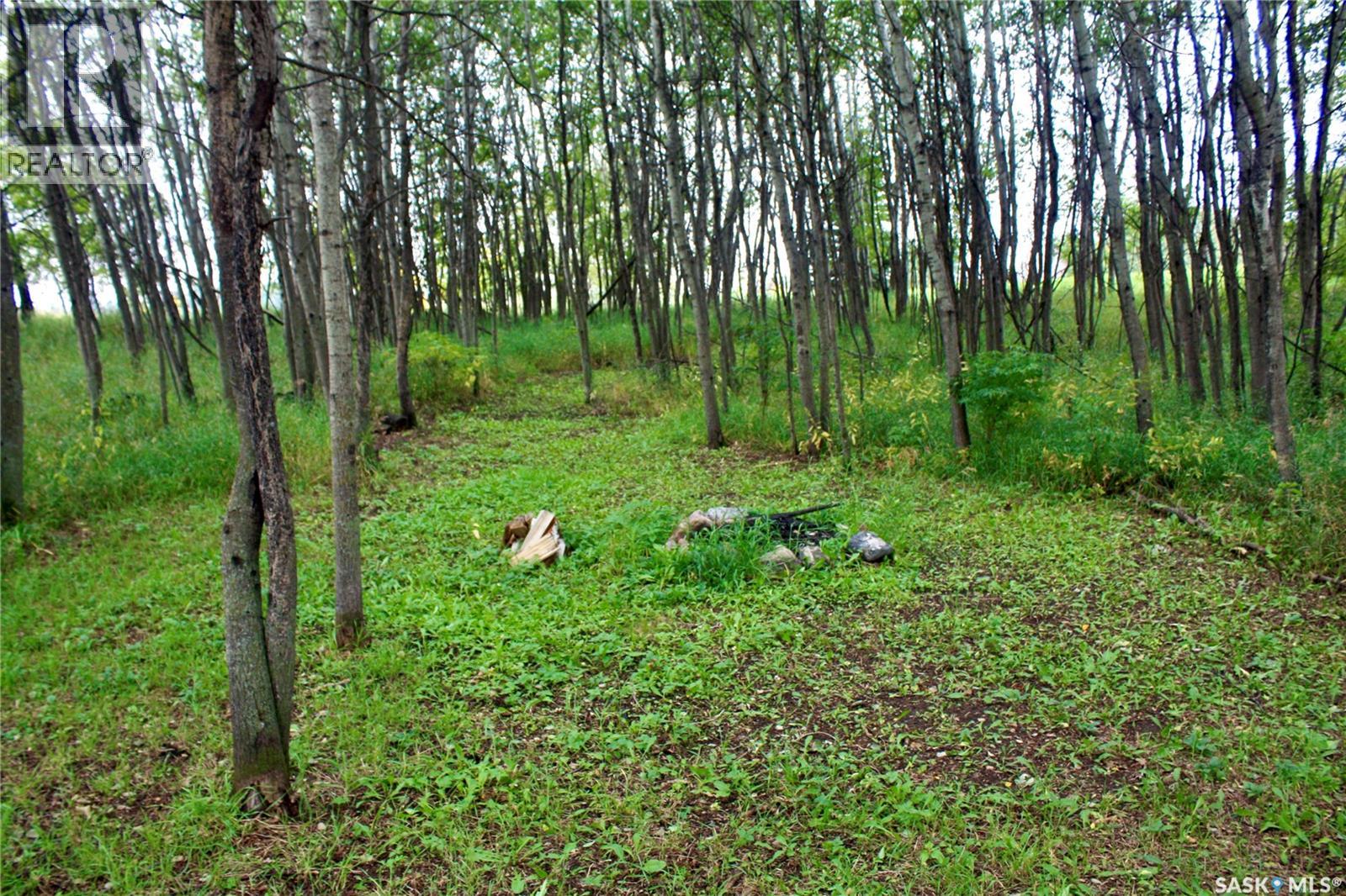 Warkentin Acreage — photo 36