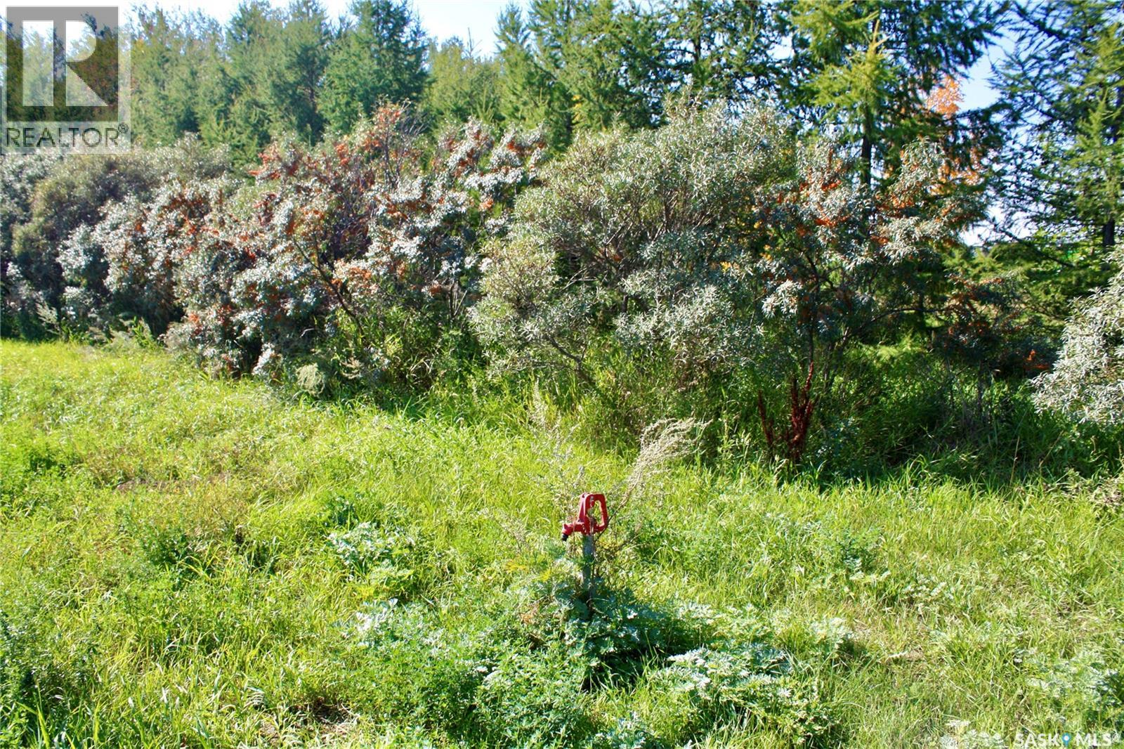 Warkentin Acreage — photo 38