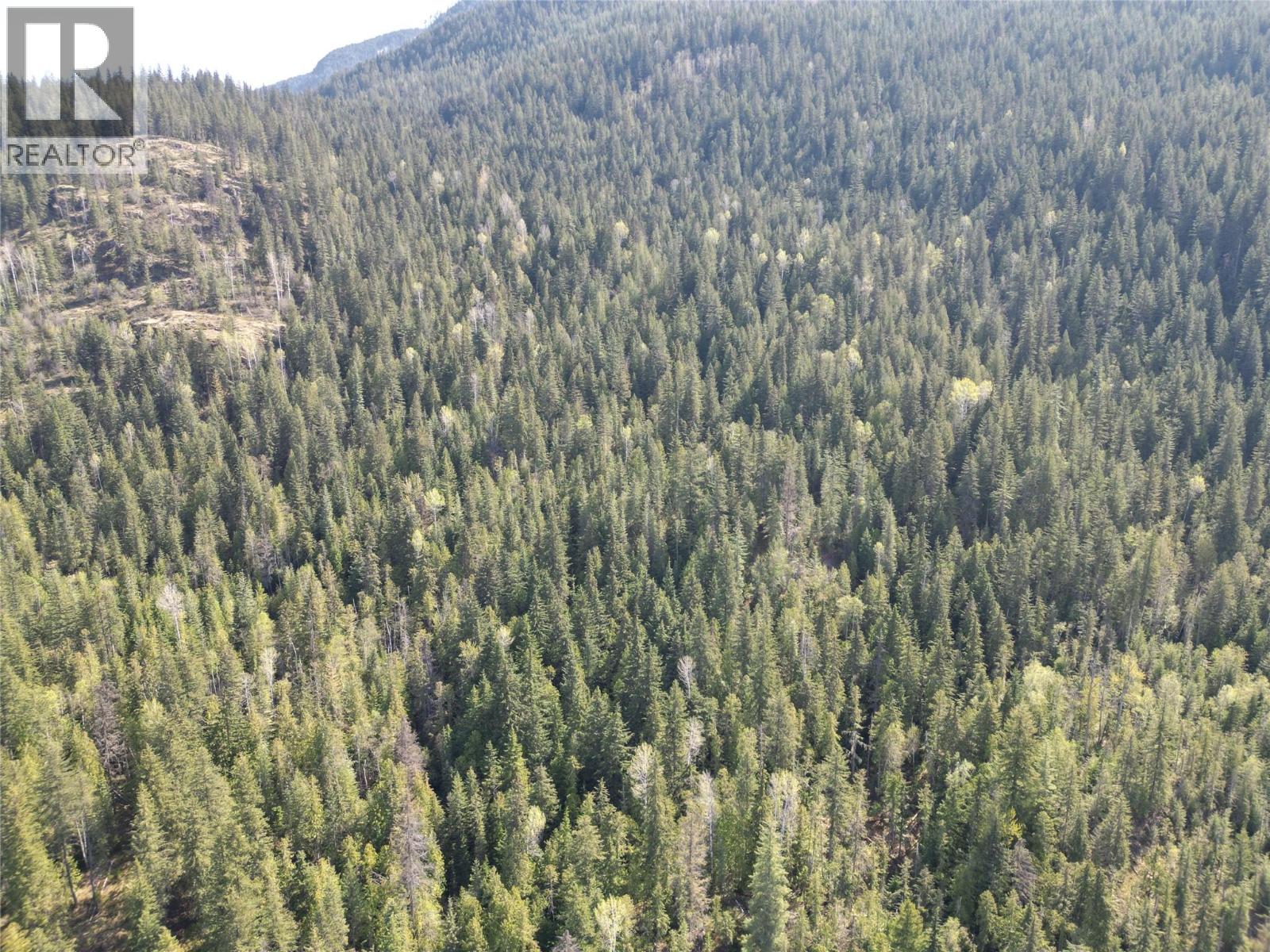 1918 Camozzi Road, Revelstoke