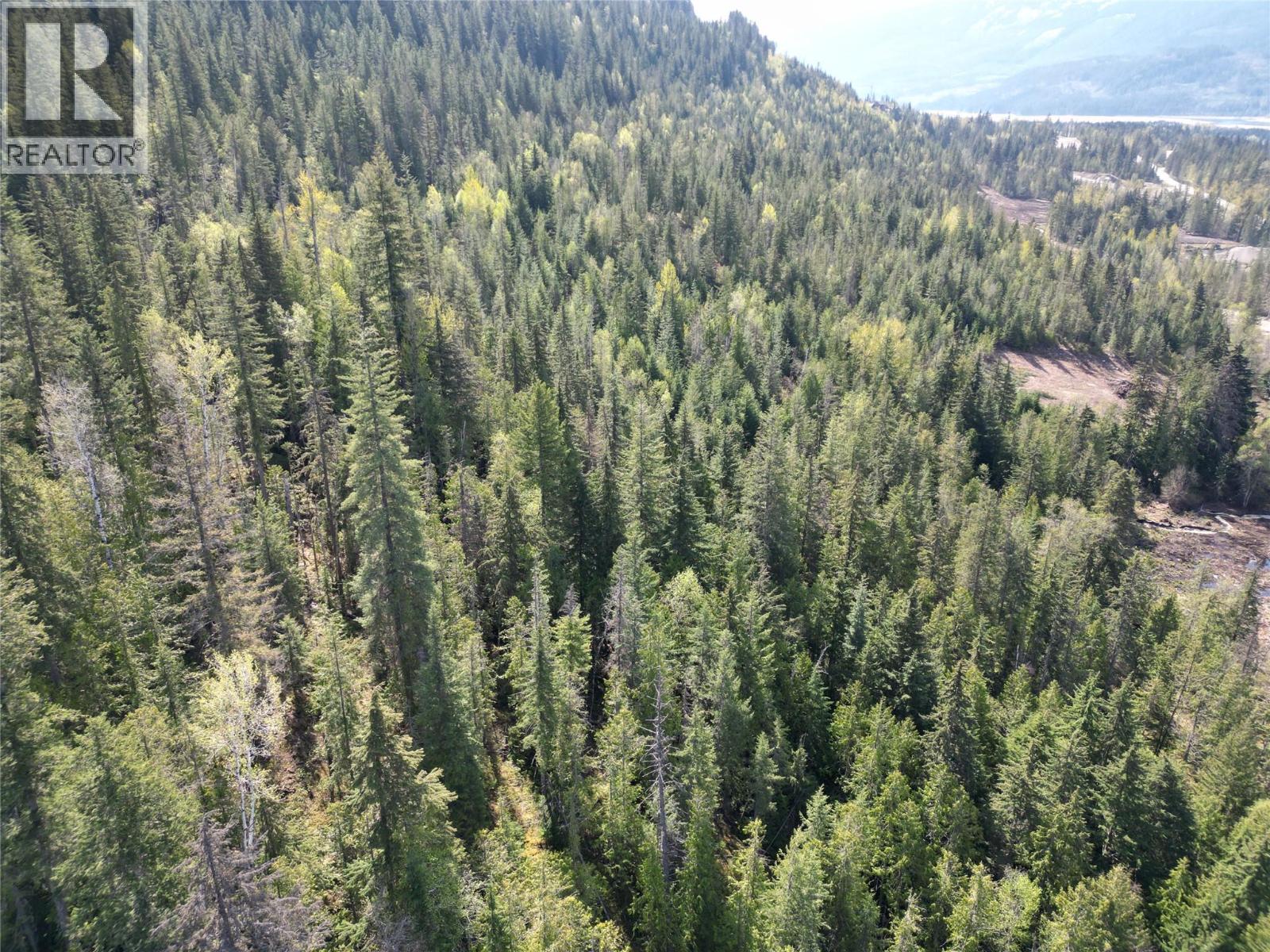 1918 Camozzi Road, Revelstoke