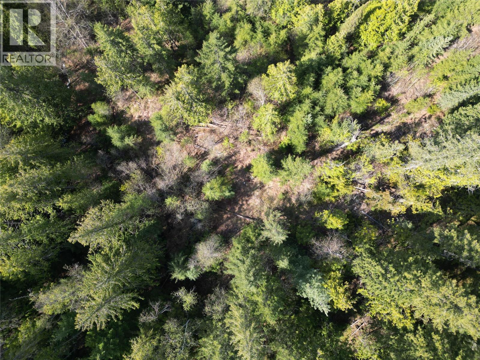 1918 Camozzi Road, Revelstoke