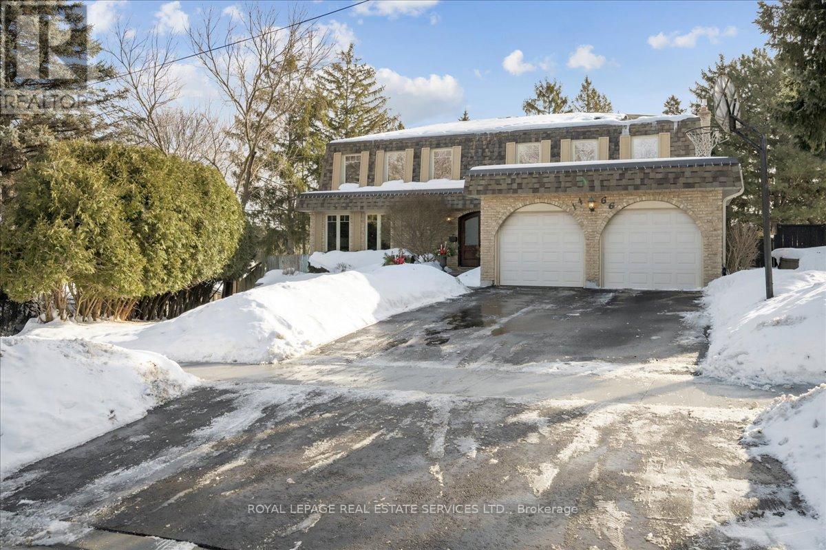 1466 Flaminia photo 3