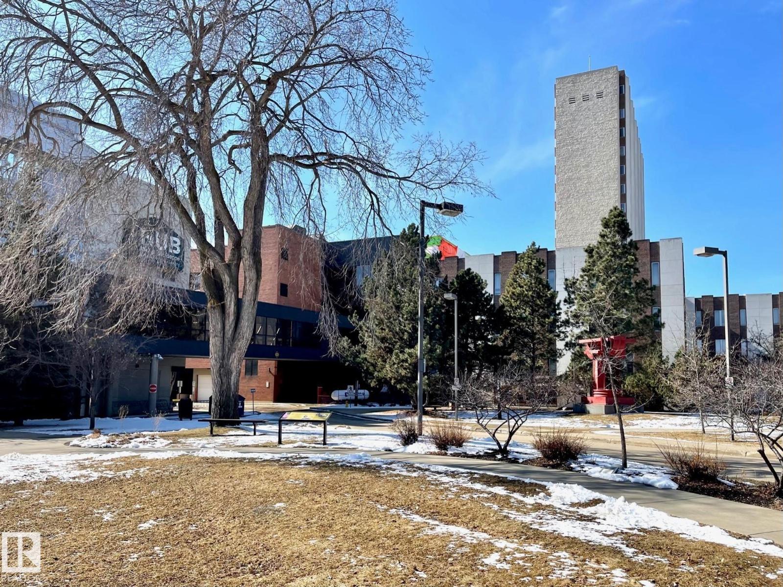 #313 11503 76 AV NW - 27